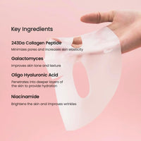 BioDance Deep Hydration Masks